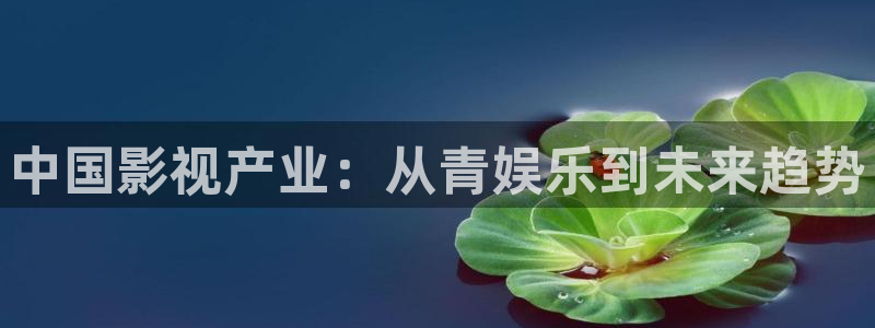 永信贵宾会备用网址：中国影视产业：从青娱乐到未来趋势