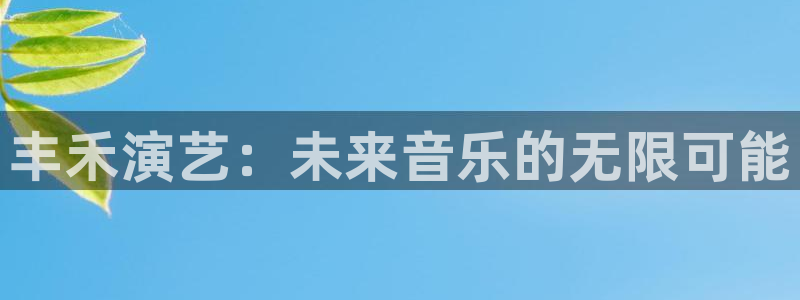 永信贵宾会最新地址：丰禾演艺：未来音乐的无限可能