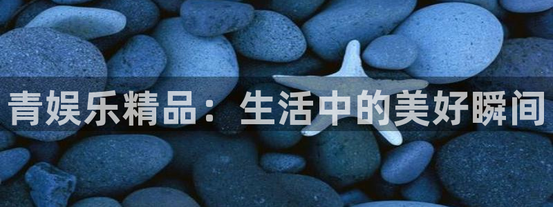 永信贵宾会网址：青娱乐精品：生活中的美好瞬间