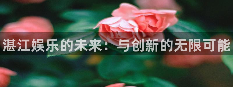 永信贵宾会大厅：湛江娱乐的未来：与创新的无限可能