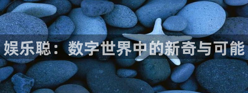 永信贵宾会备用网址：娱乐聪：数字世界中的新奇与可能