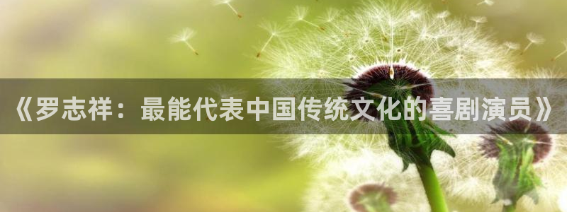 永信贵宾会官网