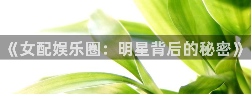 永信贵宾会官网217：《女配娱乐圈：明星背后的秘密》