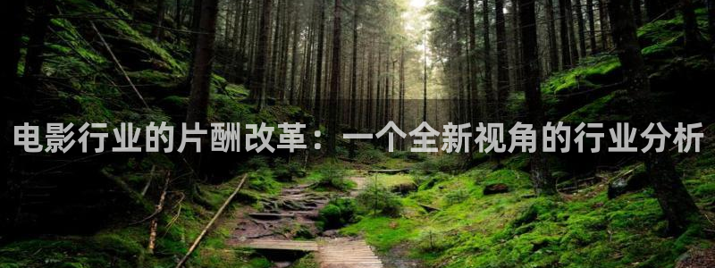 永信贵宾会备用网址：电影行业的片酬改革：一个全新视角的行业分析