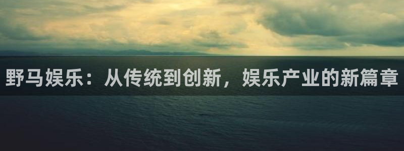 永信贵宾会官网217：野马娱乐：从传统到创新，娱乐产业的新篇章