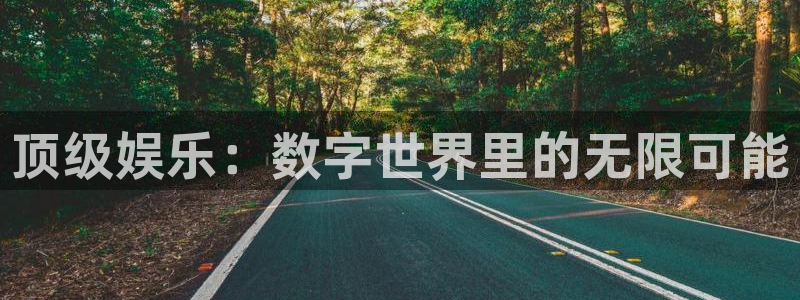 永信贵宾会最新地址：顶级娱乐：数字世界里的无限可能