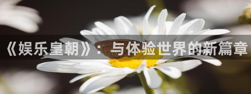 永信贵宾会手机版：《娱乐皇朝》：与体验世界的新篇章