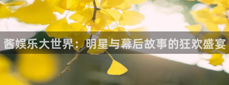 永信贵宾会大厅：酱娱乐大世界：明星与幕后故事的狂欢盛宴