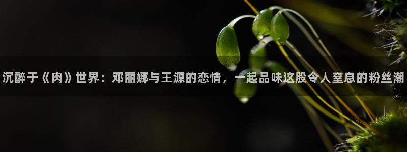 永信贵宾会最新地址：沉醉于《肉》世界：邓丽娜与王源的恋情，一起品味这股令人窒息的粉丝潮