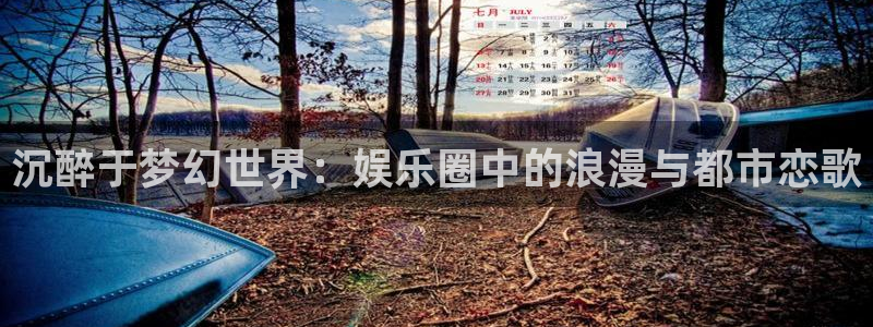 永信贵宾会官网：沉醉于梦幻世界：娱乐圈中的浪漫与都市恋歌
